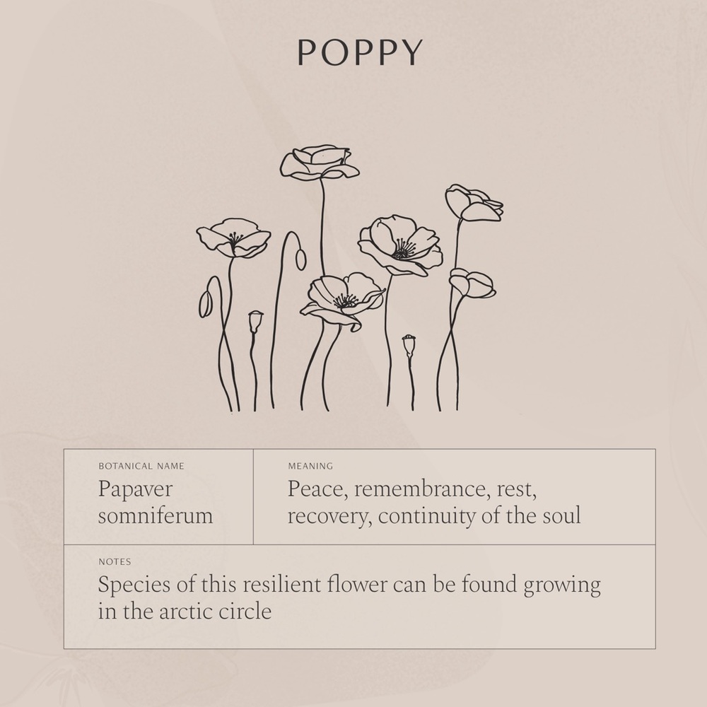 Poppy August Birth Flower Dainty Charm Necklace - Picture 9 of 16